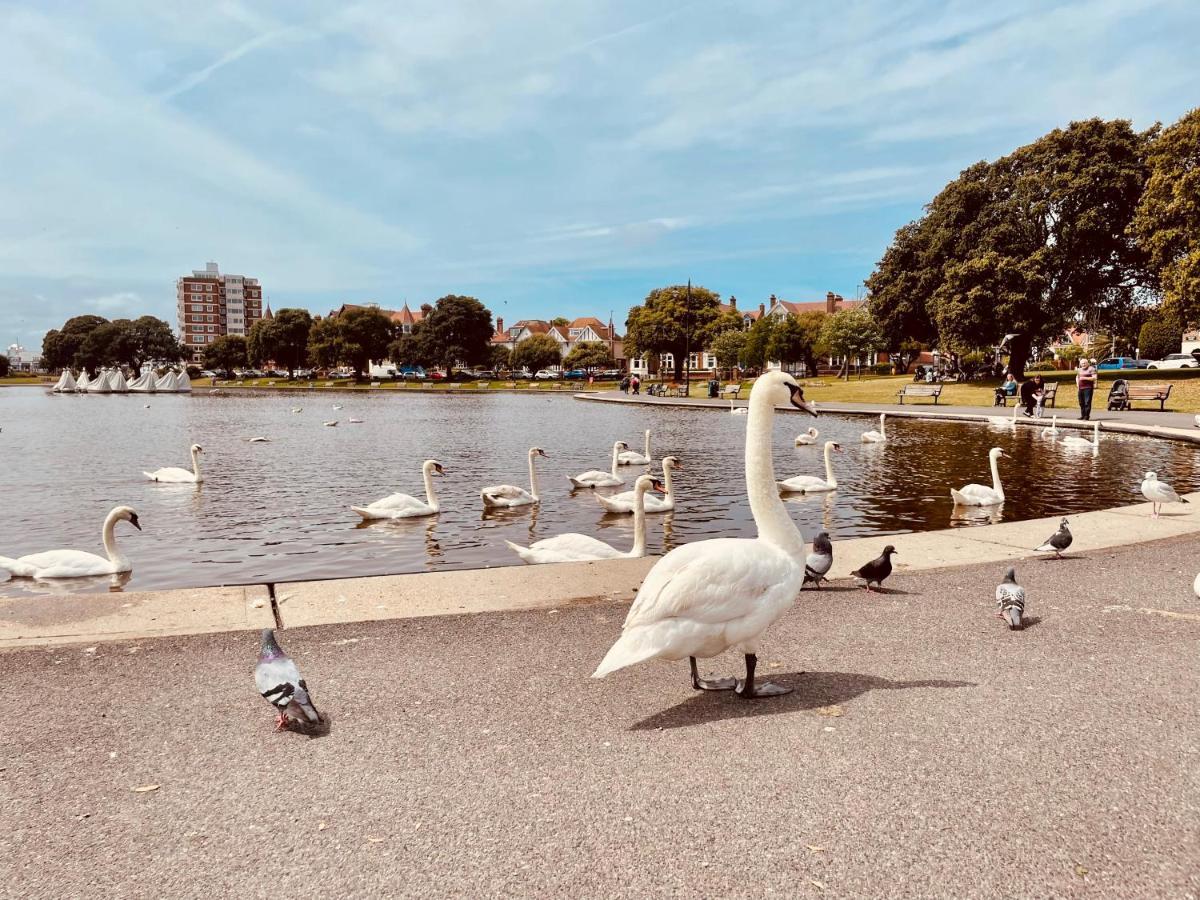 Southsea Retreat Daire Dış mekan fotoğraf